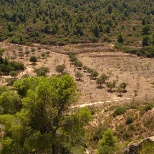 Finca La Solución