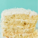 Tropical Cake Slice