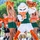 Sebastian the Ibis joined members of the spirit squads. 